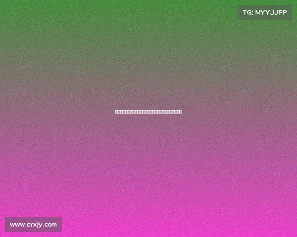 第十四届全国运动会女排赛事录像精彩集锦重温赛场激情瞬间